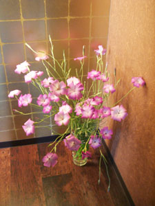 ふわ〜んと広がるのがすてき